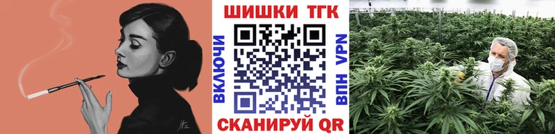 Купить закладку Каннабис А ПВП Псилоцибиновые грибы Мефедрон Камызяк