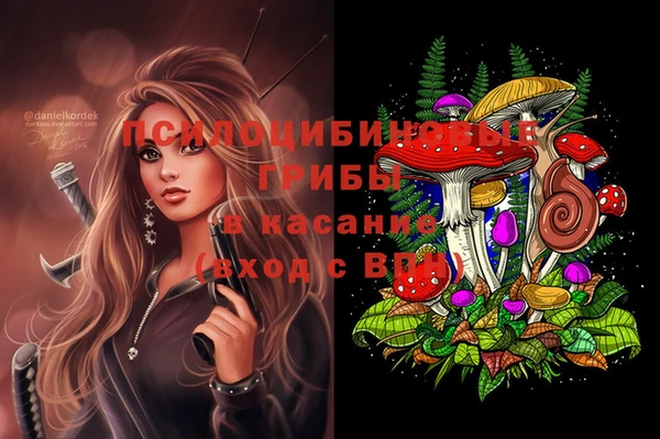 прущий лед Арсеньев
