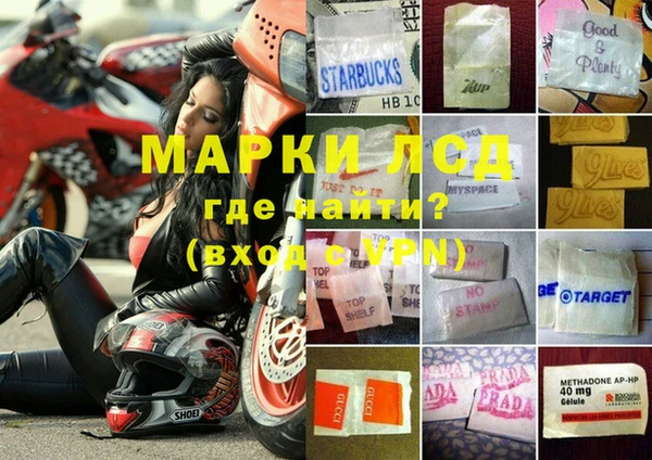 PSILOCYBIN Алексин