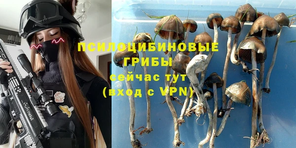прущий лед Арсеньев