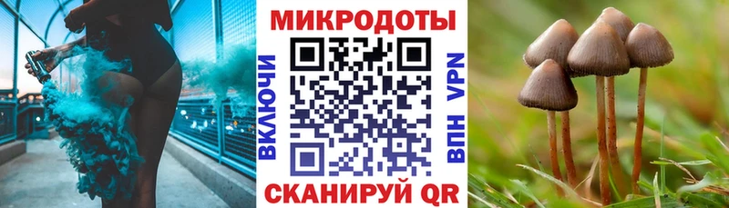 Псилоцибиновые грибы мухоморы  Купить закладки  Камызяк 