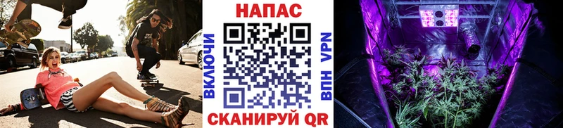 Канабис индика  Купить закладки  Камызяк 